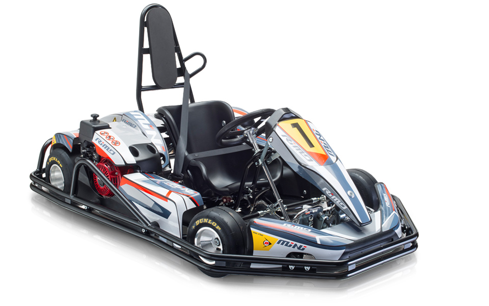 Neue Günstige Elektrische Erwachsene Racing Go Kart Für Verkauf